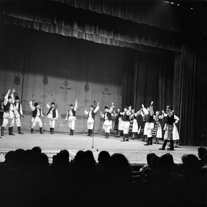 neidentificat|nem azonosított|not identified