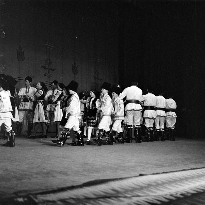 neidentificat|nem azonosított|not identified