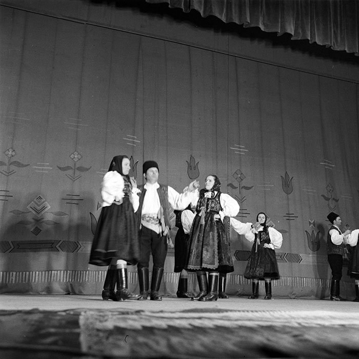 neidentificat|nem azonosított|not identified