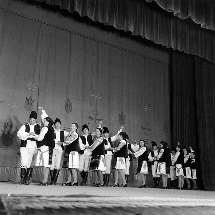 neidentificat|nem azonosított|not identified