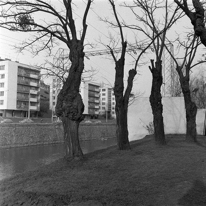 neidentificat|nem azonosított|not identified