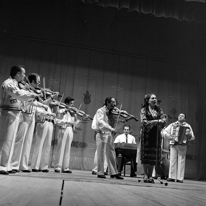 neidentificat|nem azonosított|not identified