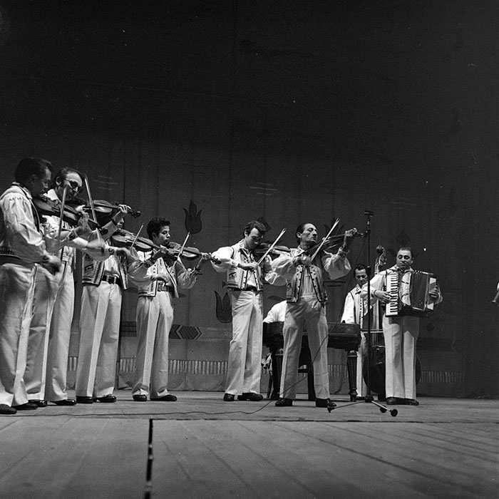 neidentificat|nem azonosított|not identified