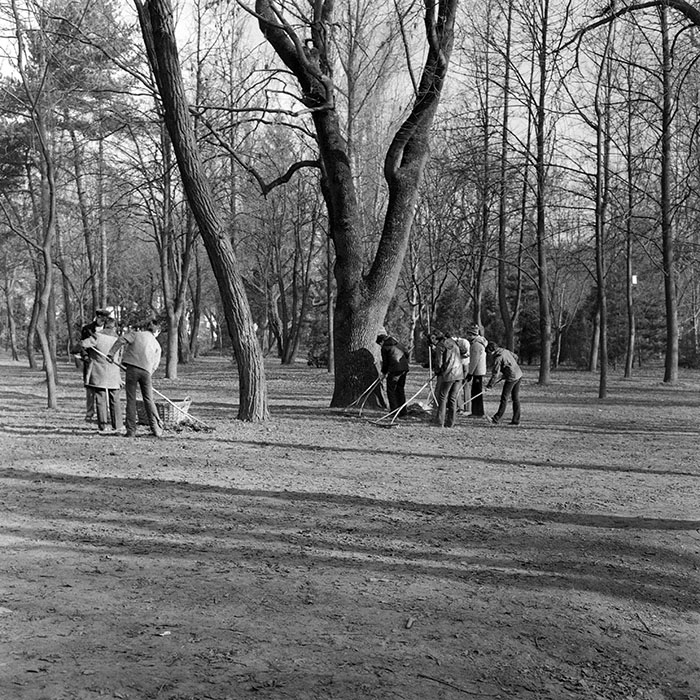 minerva_1979_c1_c2r3_010