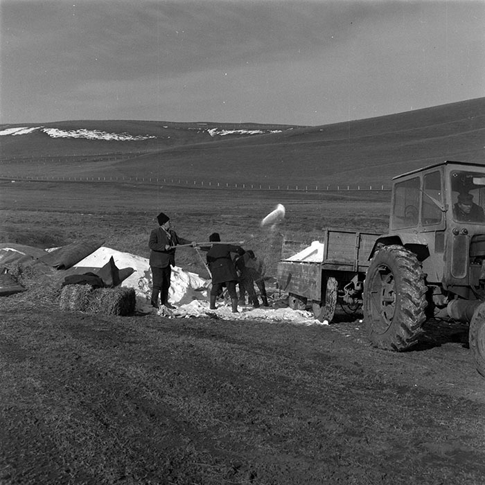 minerva_1979_c1_c3r3_004