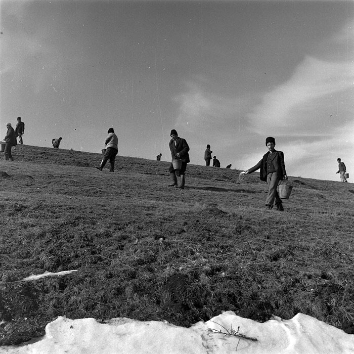 minerva_1979_c1_c3r3_007