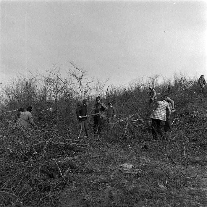 minerva_1979_c1_c3r3_008