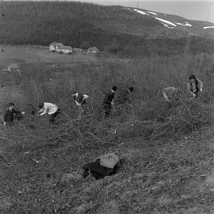 minerva_1979_c1_c3r3_009