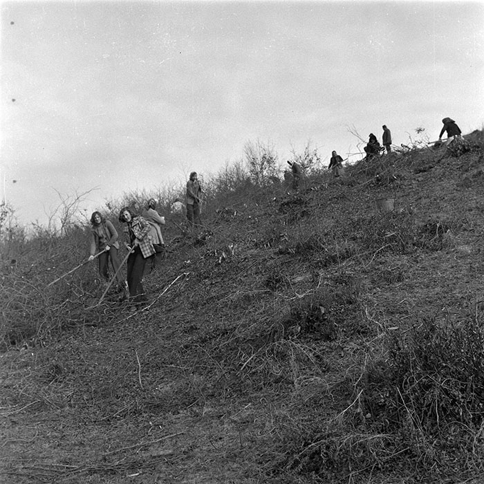 minerva_1979_c1_c3r3_010