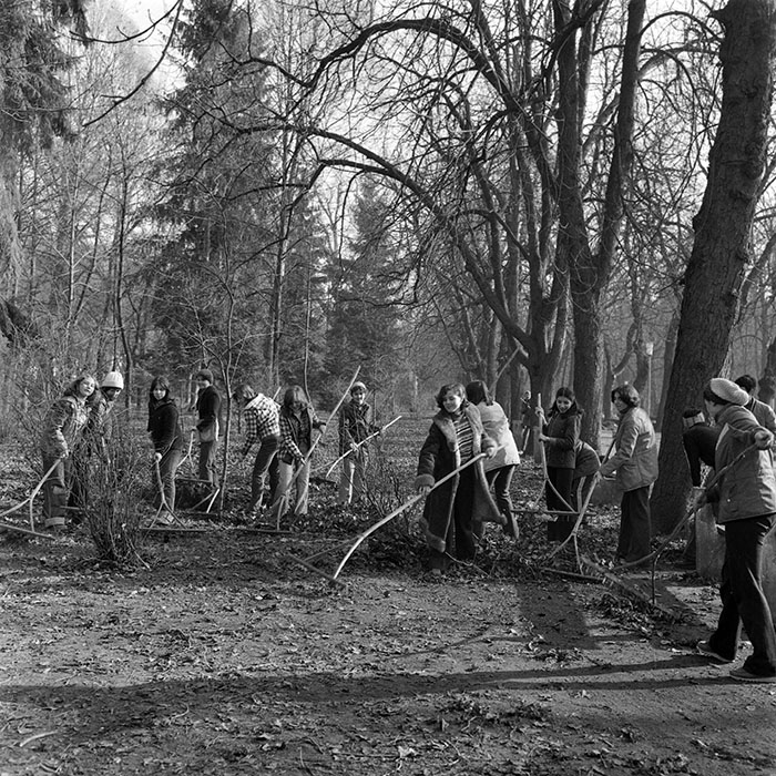 minerva_1979_c1_c3r4_011