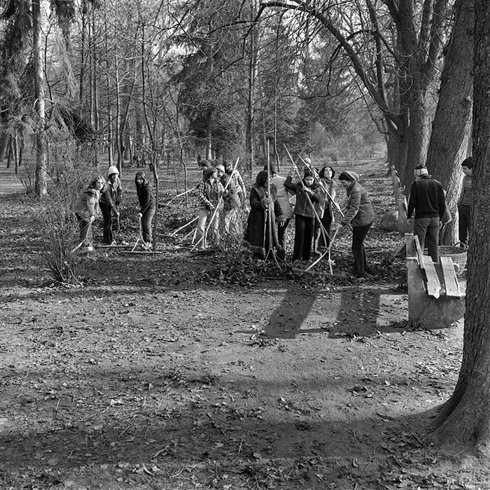 minerva_1979_c1_c3r4_012