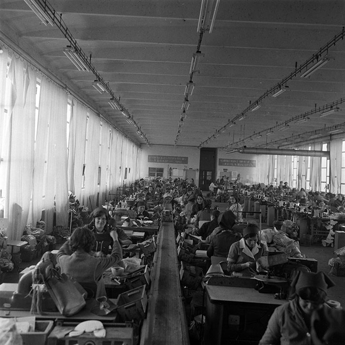 minerva_1979_c1_c3r5_001