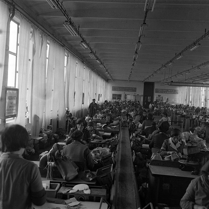 minerva_1979_c1_c3r5_003