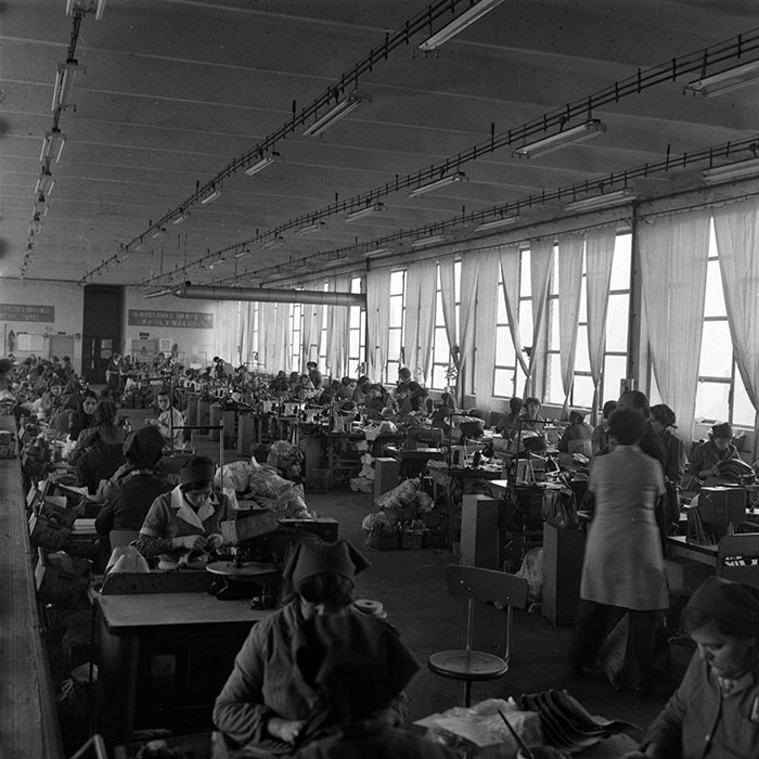 minerva_1979_c1_c3r5_004