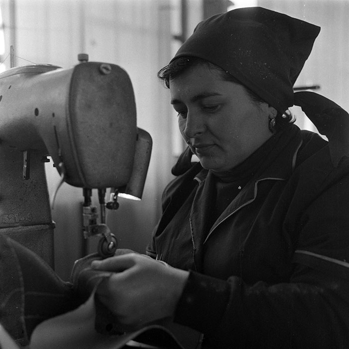 minerva_1979_c1_c3r5_009