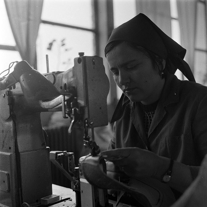 minerva_1979_c1_c3r5_012