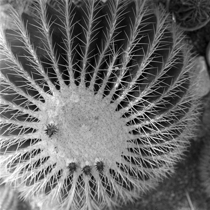 minerva_1979_c1_c4r4_002