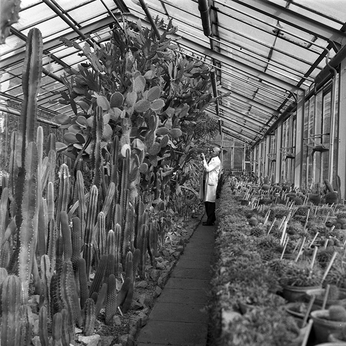 minerva_1979_c1_c4r4_003