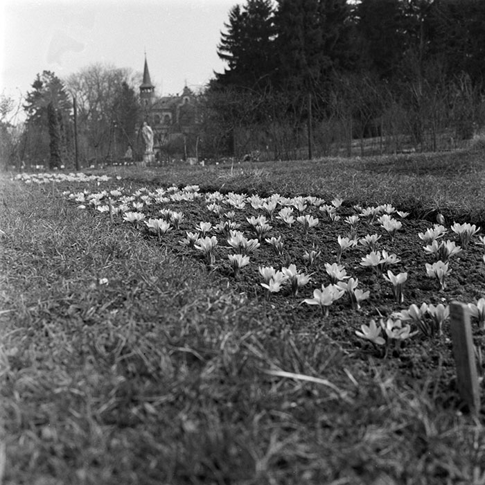 minerva_1979_c1_c4r4_010