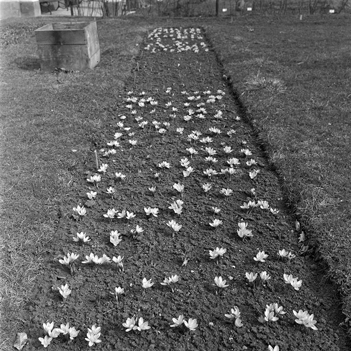 minerva_1979_c1_c4r4_011