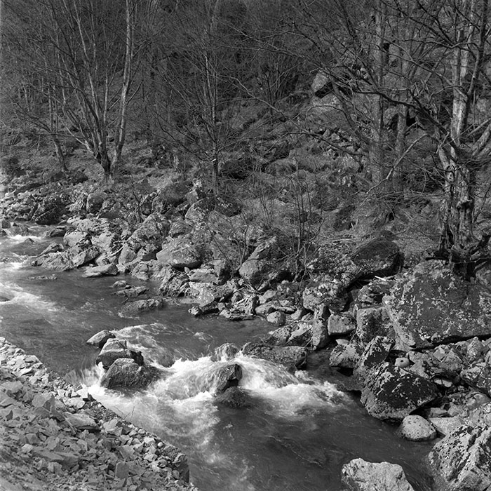 minerva_1979_c1_c5r3_003