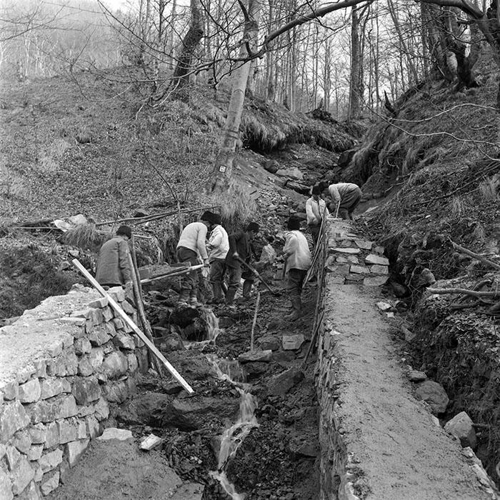 minerva_1979_c1_c5r3_008