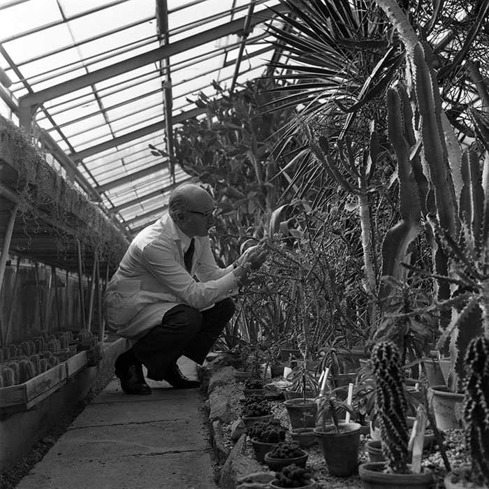 minerva_1979_c1_c5r3_010