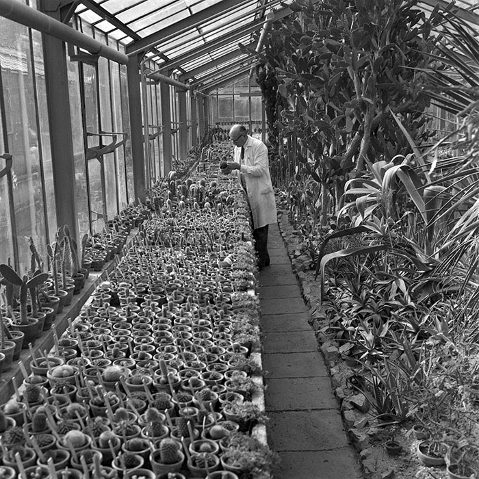 minerva_1979_c1_c5r3_011