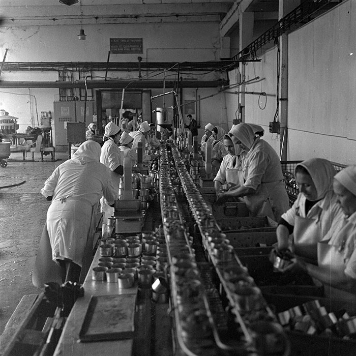 minerva_1979_c1_c6r1_021