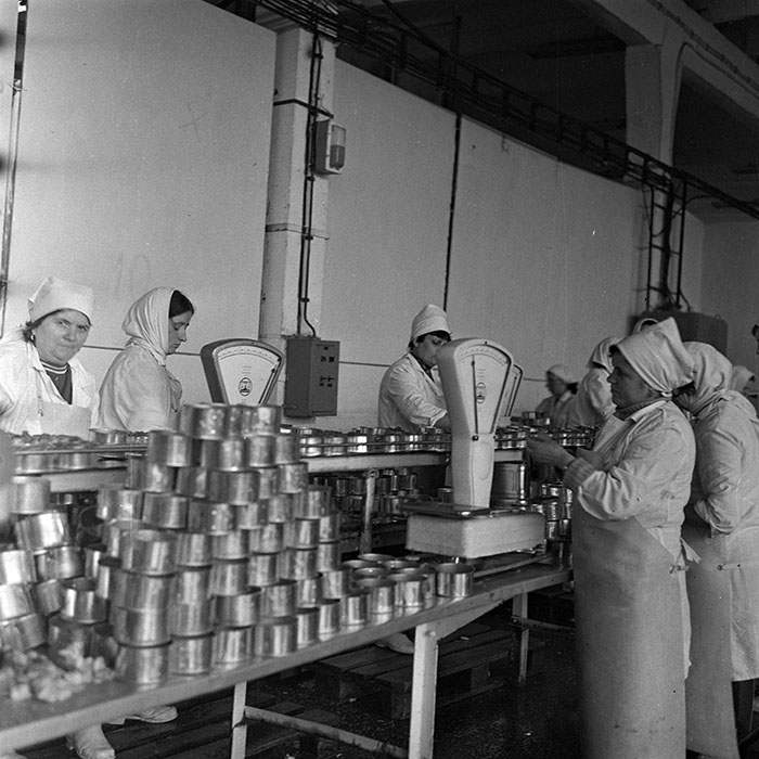 minerva_1979_c1_c6r1_022