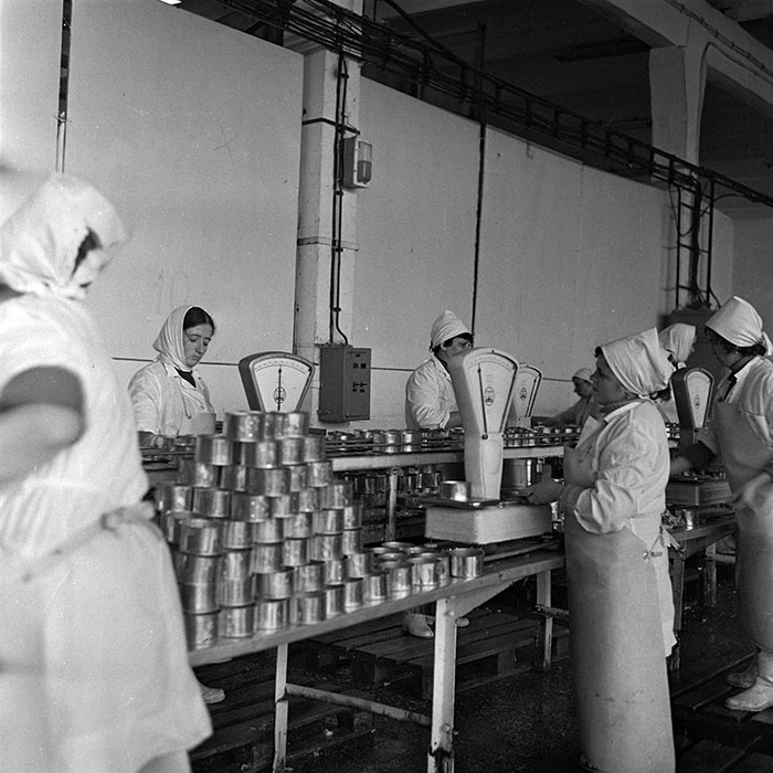 minerva_1979_c1_c6r1_023