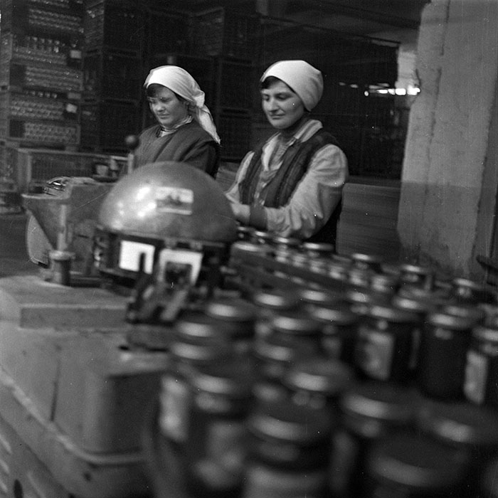 minerva_1979_c1_c6r1_024