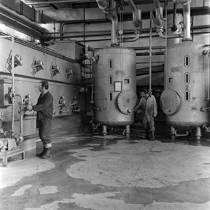 minerva_1979_c1_c6r1_036