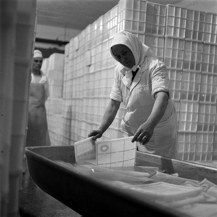 minerva_1979_c1_c6r4_001