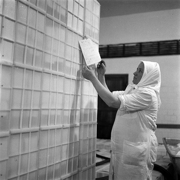 minerva_1979_c1_c6r4_002