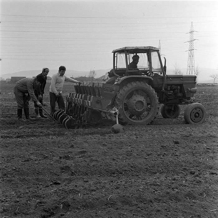 minerva_1979_c1_c6r4_005