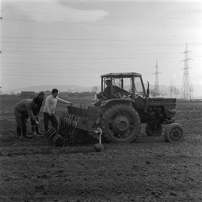 minerva_1979_c1_c6r4_006