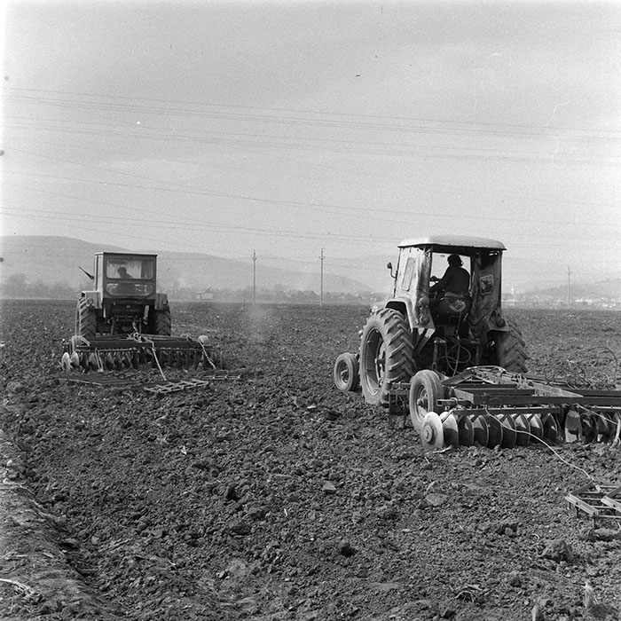 minerva_1979_c1_c6r4_007