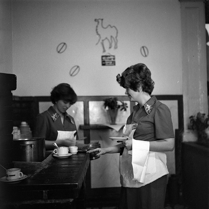 minerva_1979_c1_c7r5_007