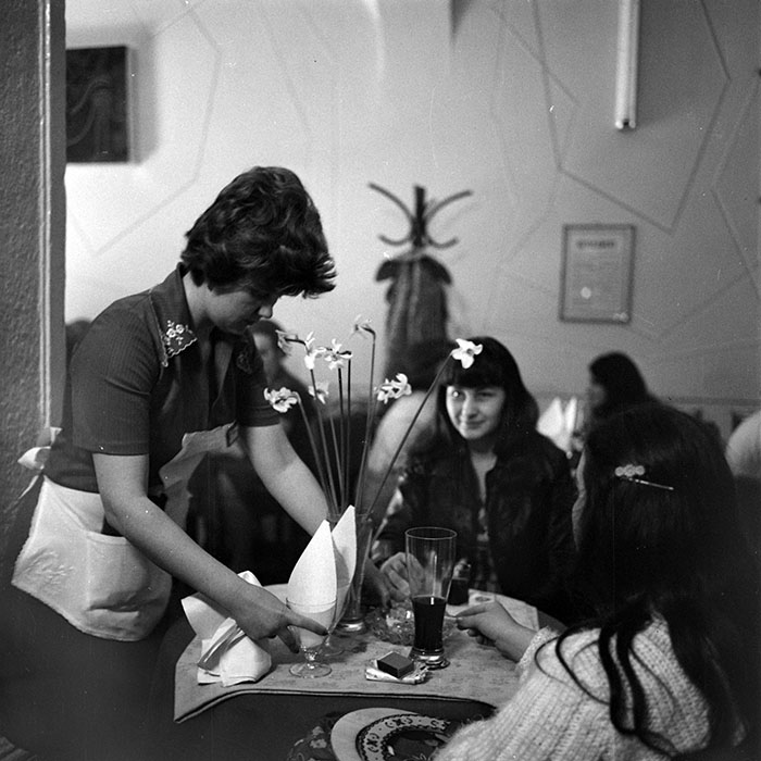 minerva_1979_c1_c7r5_012