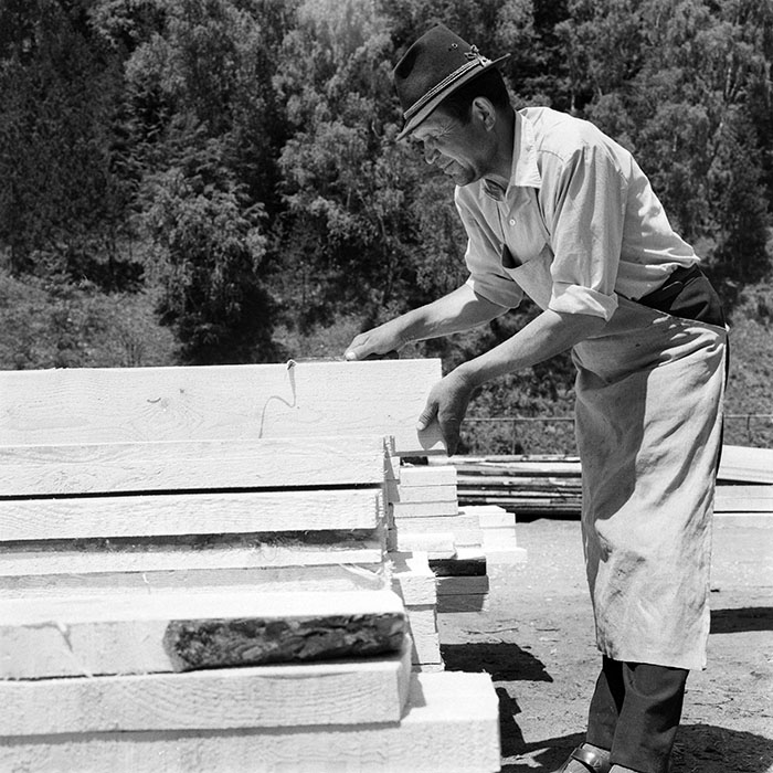 minerva_1979_c1_c9r3_001