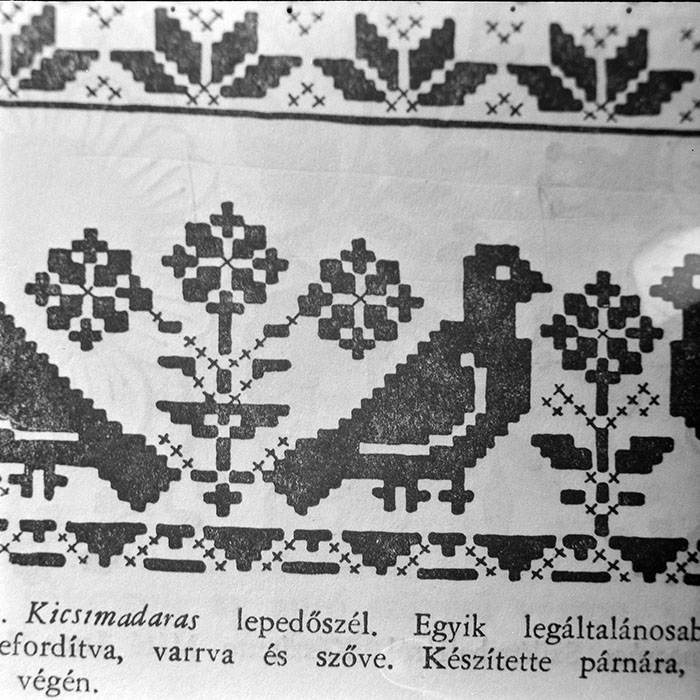 minerva_1979_c1_c9r5_001