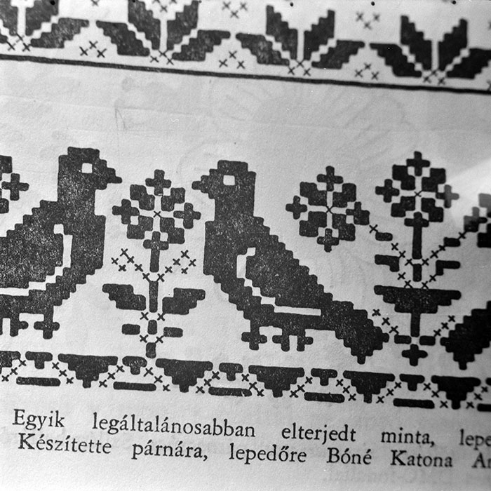 minerva_1979_c1_c9r5_002