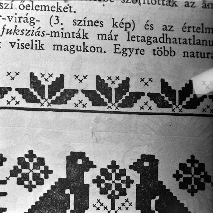 minerva_1979_c1_c9r5_004