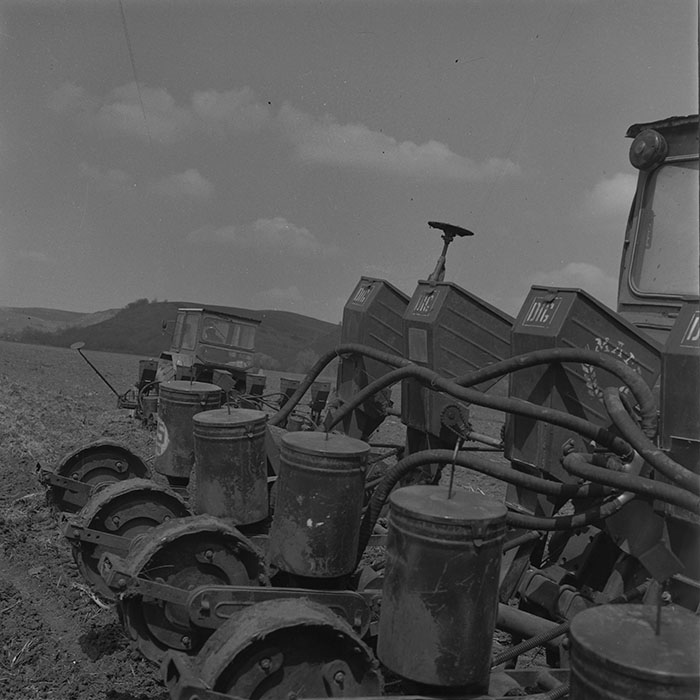 minerva_1981_c1_c1r2_001