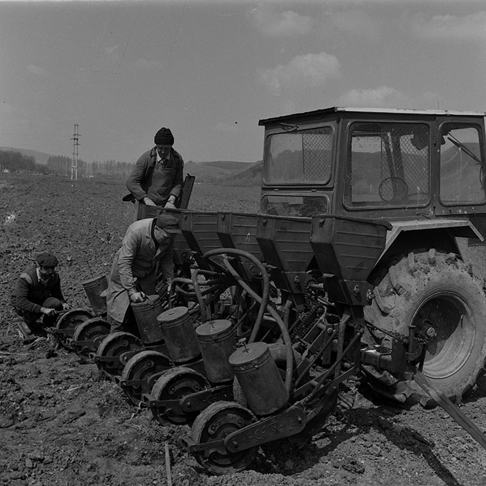 minerva_1981_c1_c1r2_002