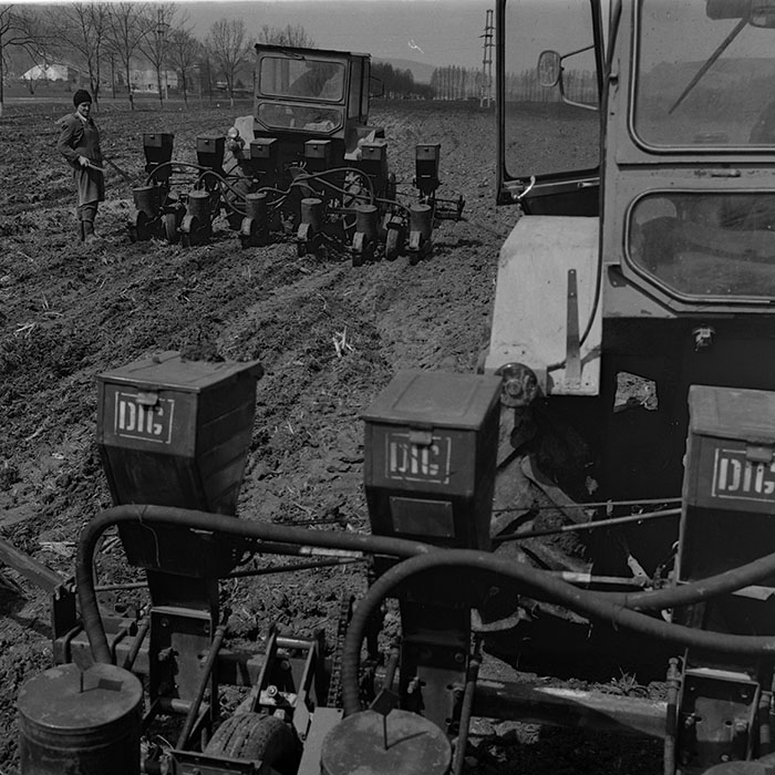 minerva_1981_c1_c1r2_004