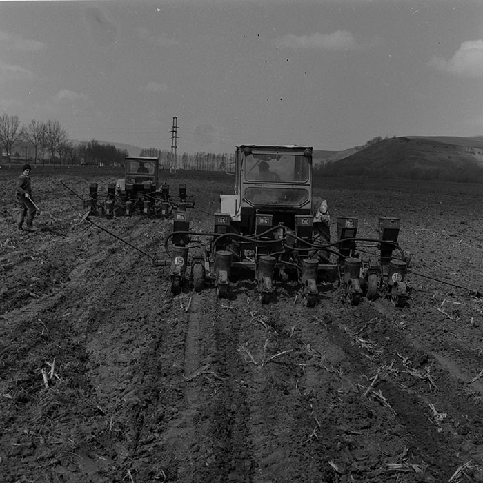 minerva_1981_c1_c1r2_006