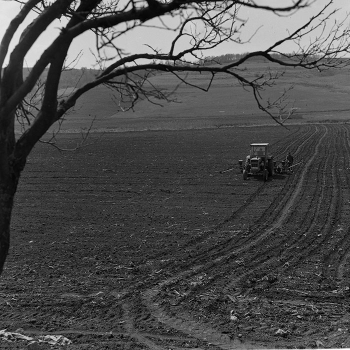 minerva_1981_c1_c1r2_011