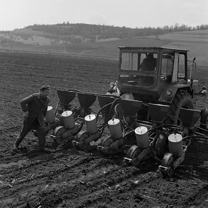 minerva_1981_c1_c1r2_014